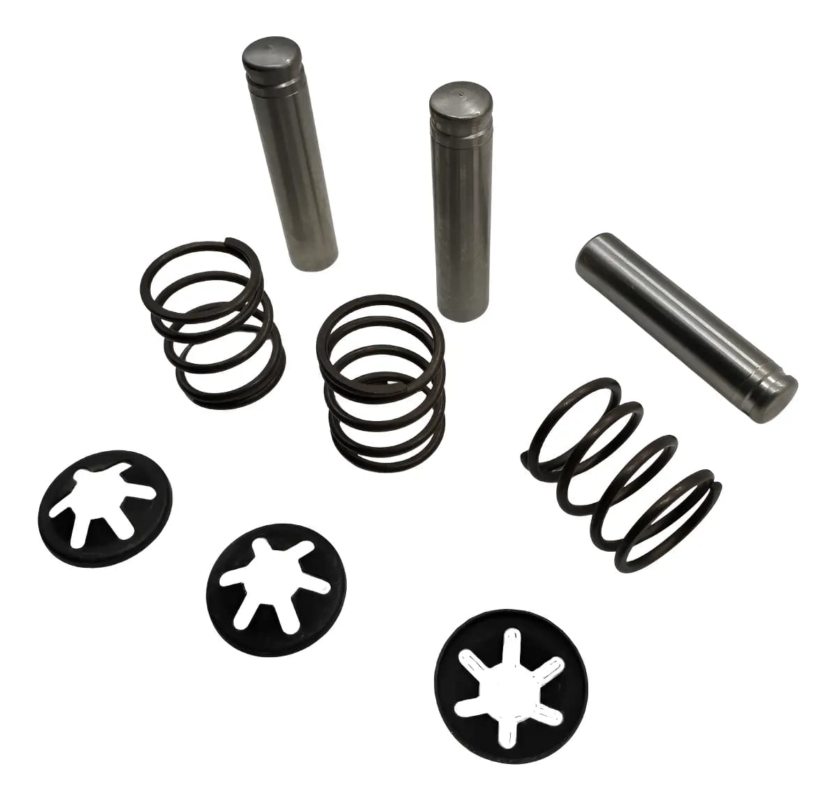 KIT PISTAO COM MOLA LAV EWS ELECTROLUX EWS10026