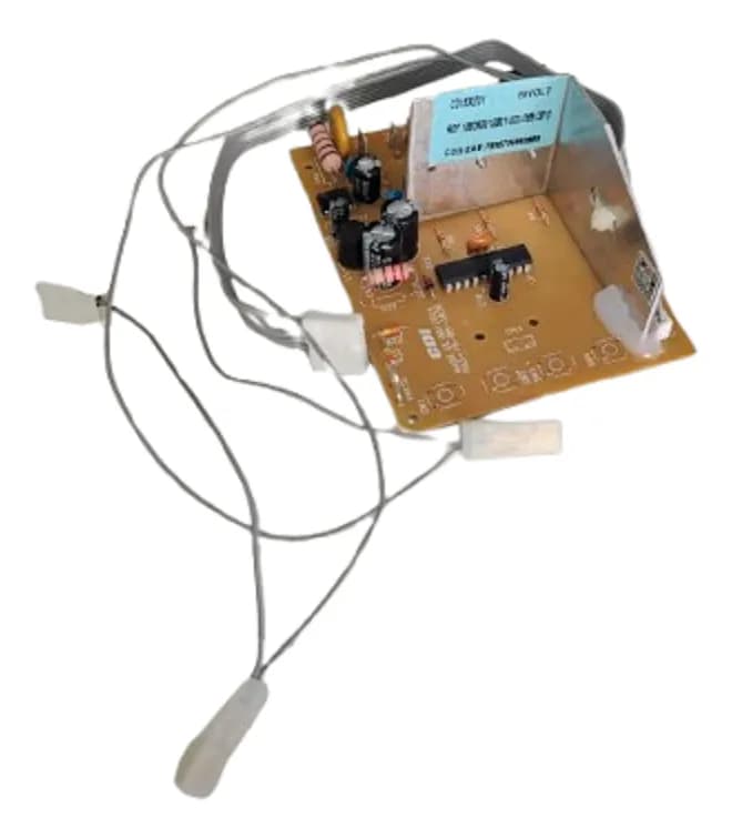 PLACA GE 10KG 110V