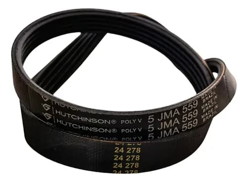 CORREIA LCA POLY-V